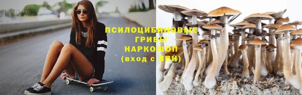 экстази Арсеньев