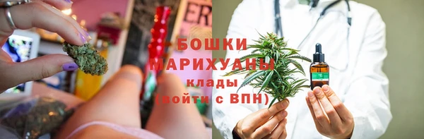 трава Аркадак