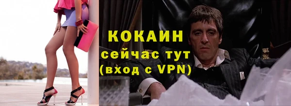 трава Аркадак