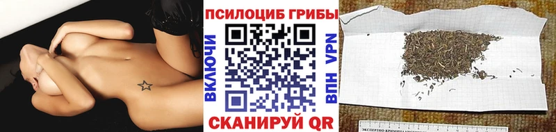 Галлюциногенные грибы GOLDEN TEACHER  Рошаль 